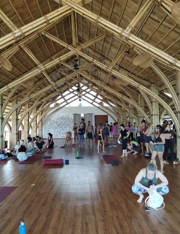 Jasa Pasang Atap Alang Alang di Bali