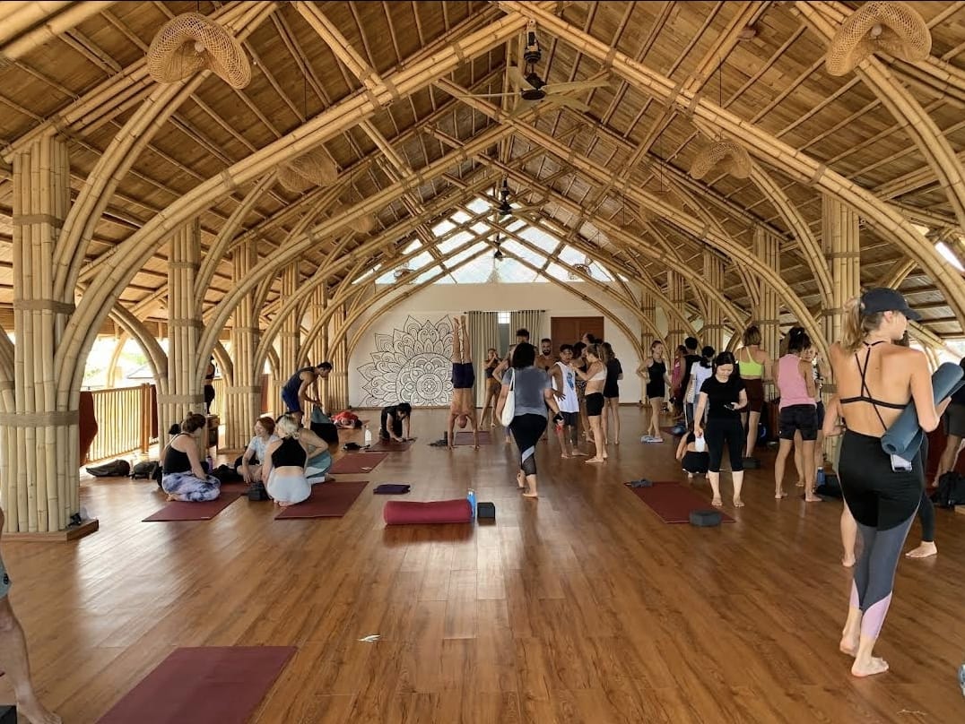 Jasa Pasang Atap Alang Alang di Bali